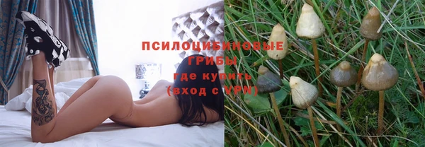 метадон Арсеньев